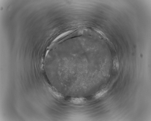 X0000058760671200510211659