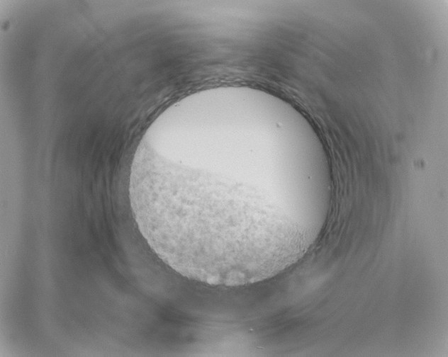 X0000058760672200510211659