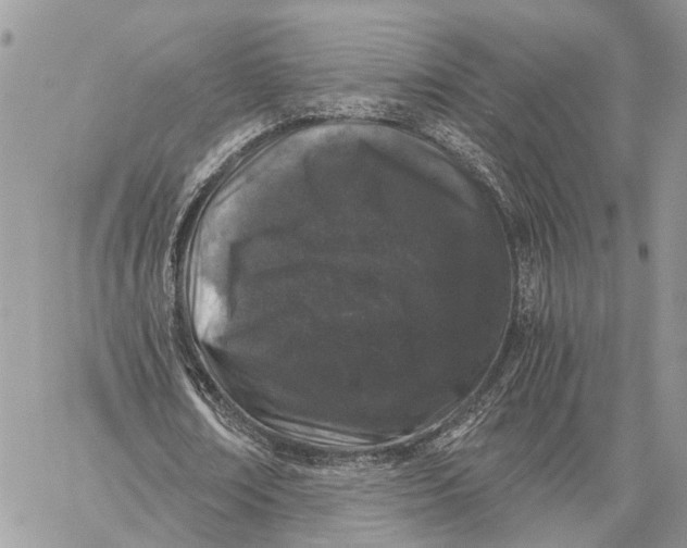 X0000058760674200510211658