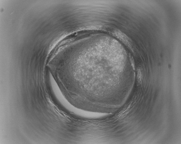 X0000058760676200510211658