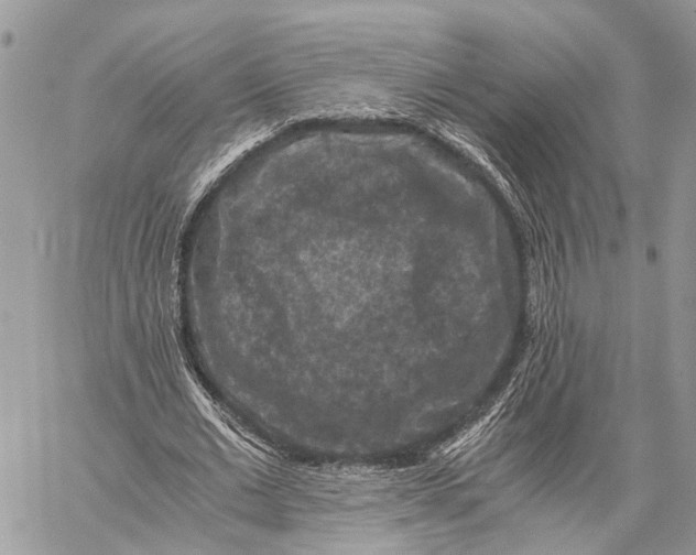 X0000058760677200510211658