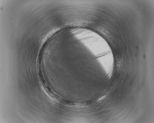 X0000058760678200510211658