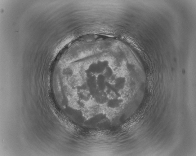 X0000058760679200510211658