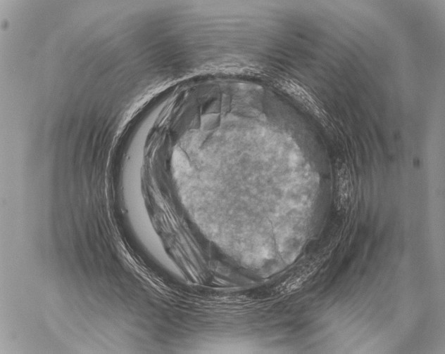 X0000058760680200510211658