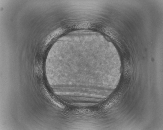 X0000058760681200510211658