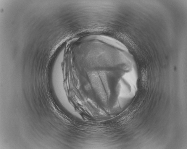 X0000058760684200510211658