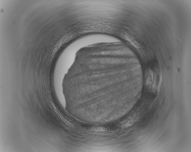 X0000058760685200510211658