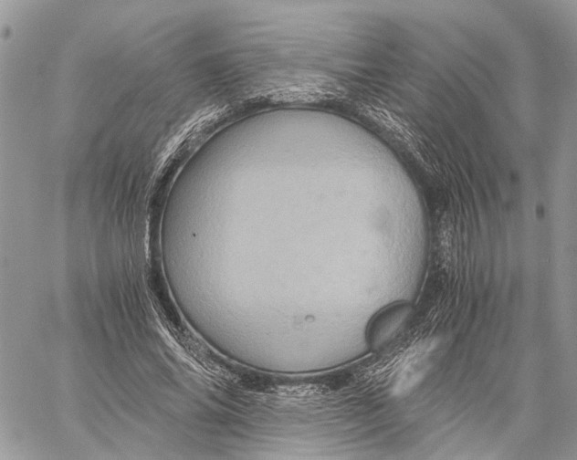 X0000058760686200510211658