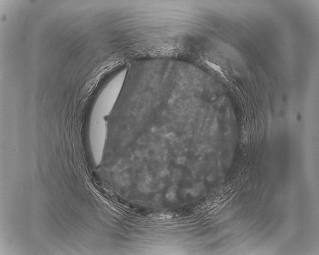 X0000058760687200510211658