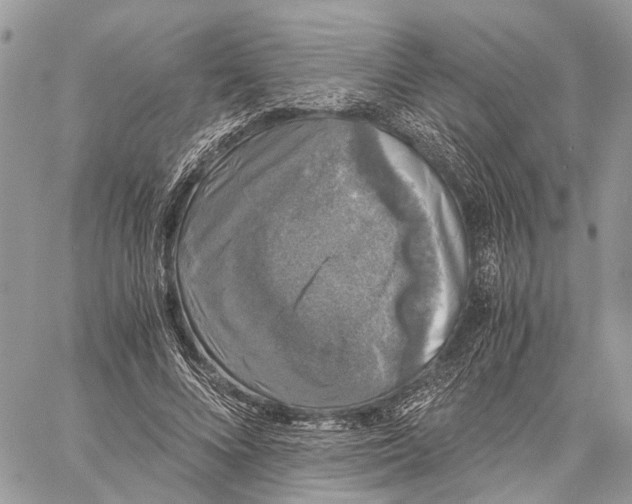 X0000058760688200510211658