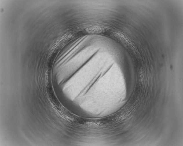 X0000058760690200510211658