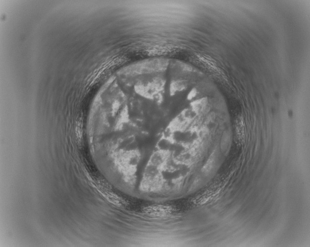 X0000058760691200510211658