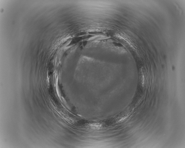 X0000058760692200510211658