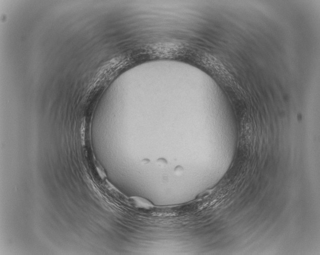 X0000058760694200510211658