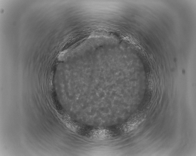 X0000058760695200510211658