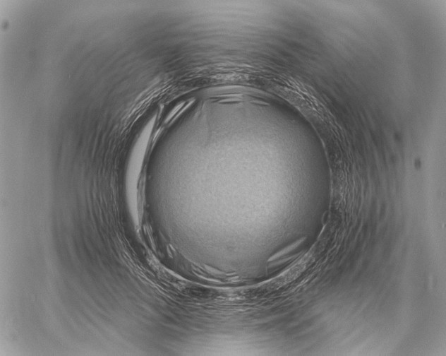 X0000058760696200510211658