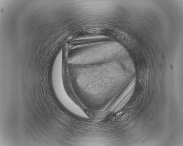 X0000058760697200510211658