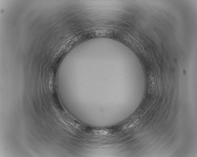 X0000058760698200510211658