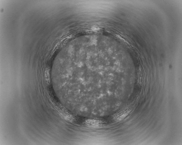 X0000058760699200510211658