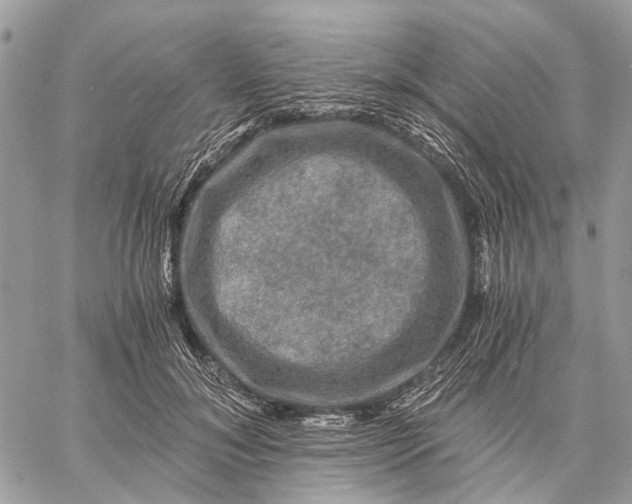 X0000058760700200510211658