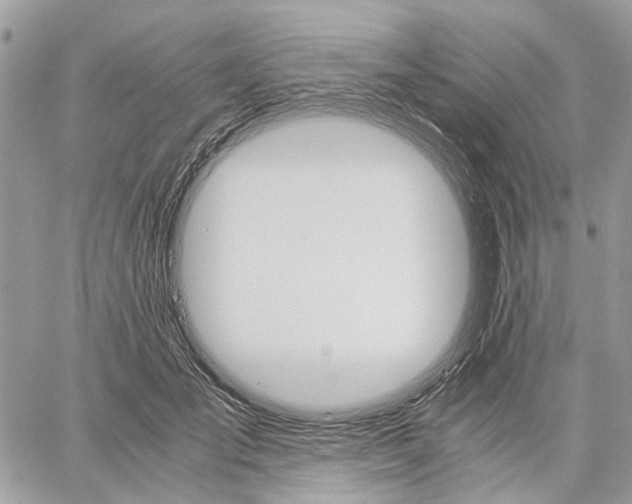 X0000058760701200510211658