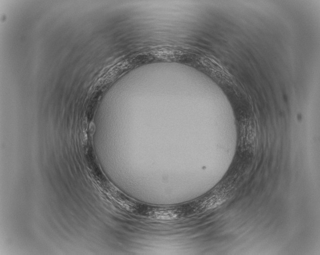 X0000058760702200510211658