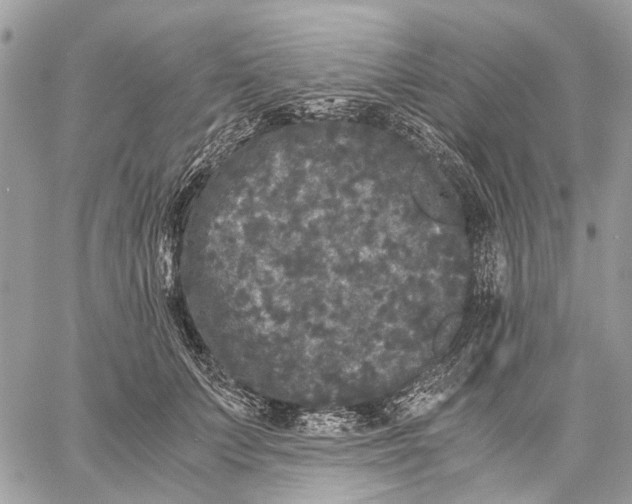 X0000058760703200510211658