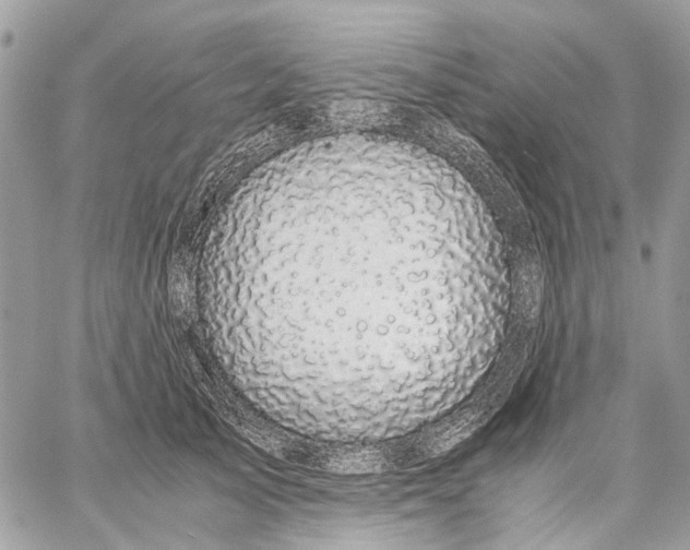 X0000058760705200510211658