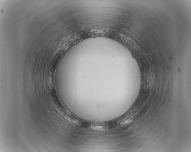 X0000058760706200510211658