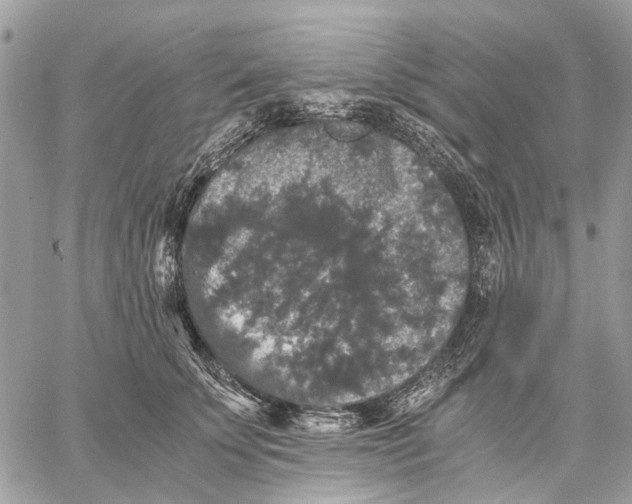 X0000058760707200510211658