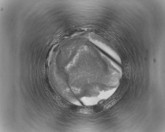 X0000058760708200510211658