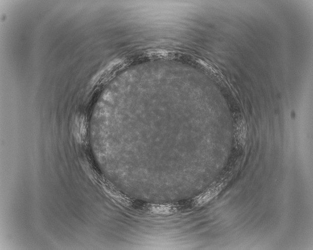 X0000058760709200510211658