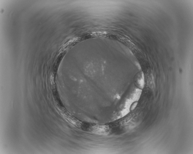 X0000058760711200510211658