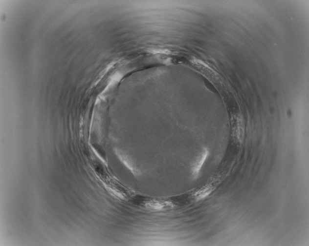 X0000058760712200510211658