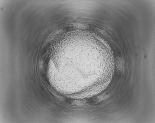 X0000058760713200510211658