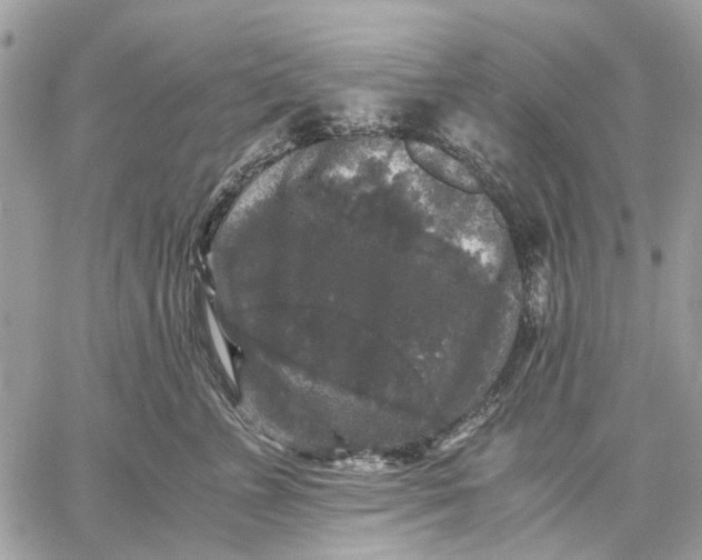 X0000058760715200510211657