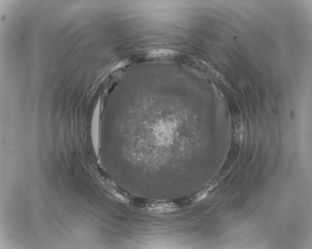 X0000058760716200510211657