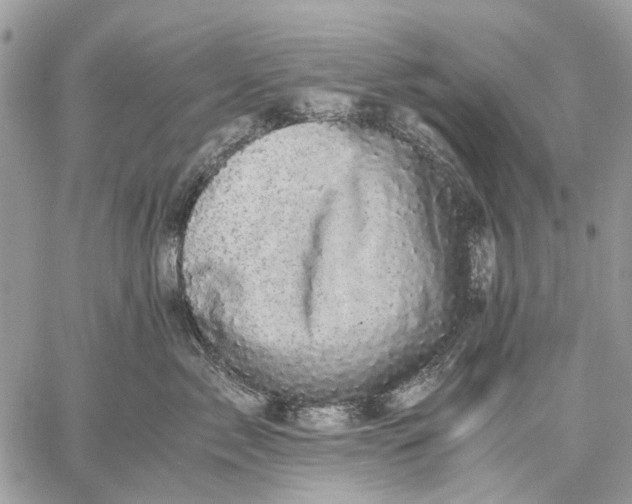 X0000058760717200510211657