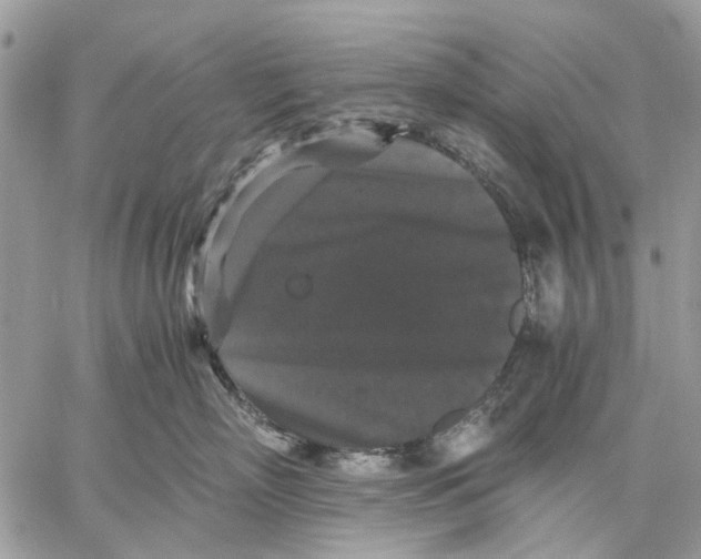 X0000058760718200510211657