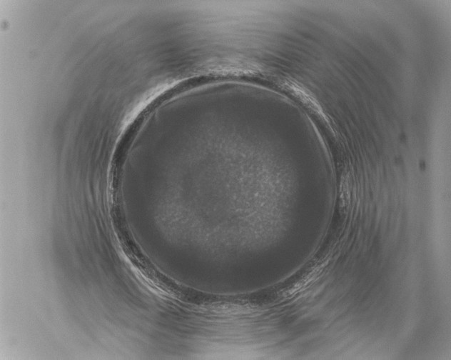 X0000058760722200510211657