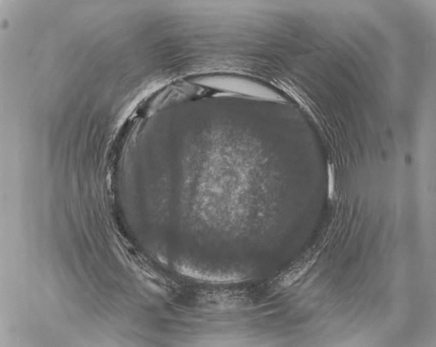 X0000058760723200510211657