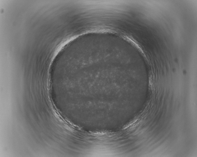 X0000058760724200510211657