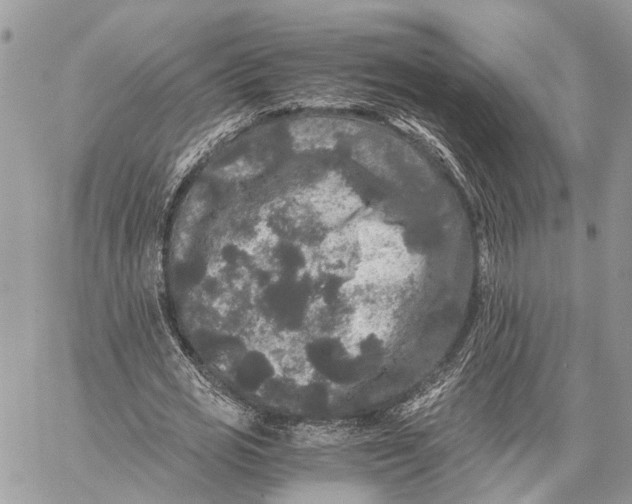 X0000058760725200510211657