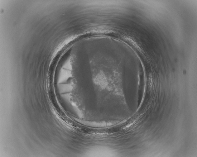 X0000058760726200510211657