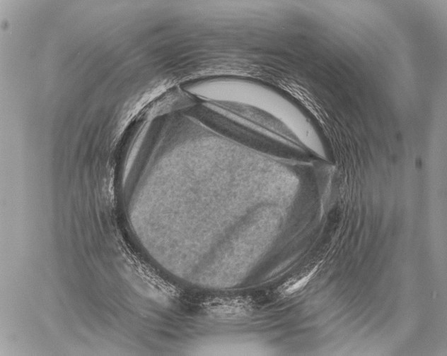 X0000058760727200510211657