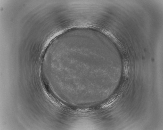 X0000058760728200510211657