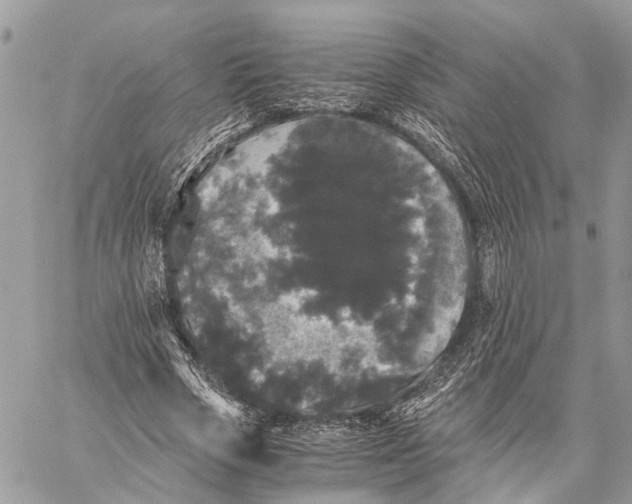 X0000058760729200510211657