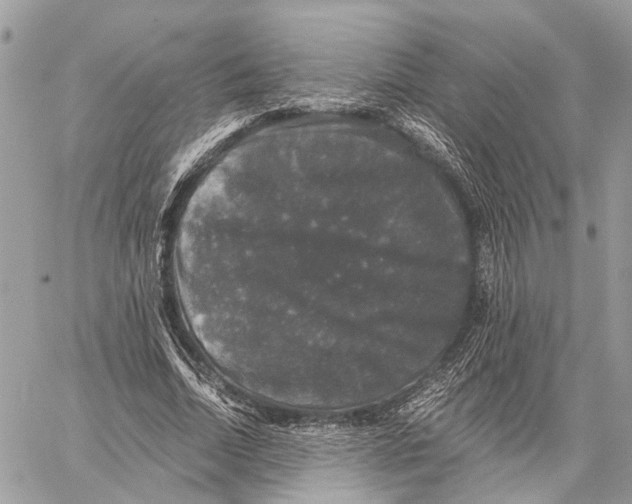 X0000058760730200510211657