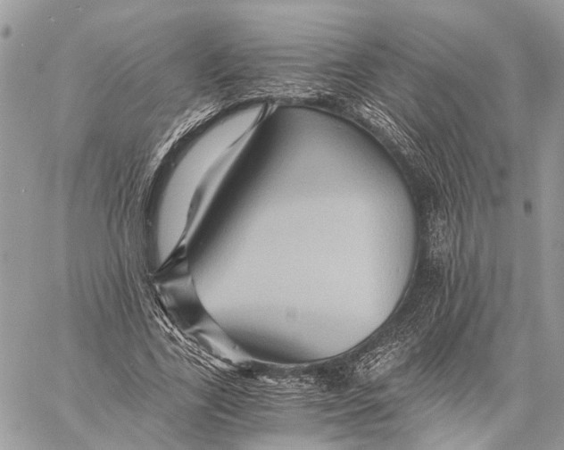 X0000058760731200510211657