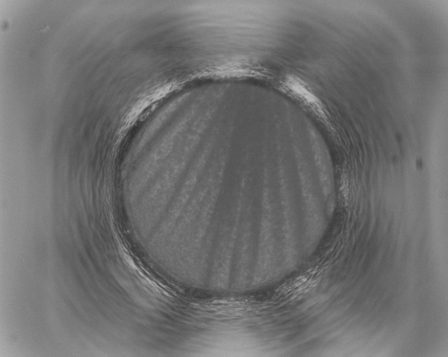 X0000058760732200510211657